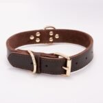 Petpals Comfortfit Dog Collar - Image 5