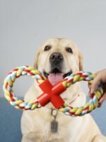 Durable Cotton Bite Resistant Rope for Pet Dog Toys - Image 5