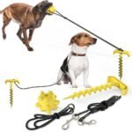 Outdoor Adventure Dog Leash Toy - Image 5