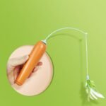 2 In 1 Pet Cat Toy With Feather For Self-Play Cat Turntable Pets Supplies Cat Toy Toys Cats Items Products - Image 5