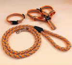 Ultimate Comfort Dog Leash - Image 3