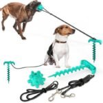 Outdoor Adventure Dog Leash Toy