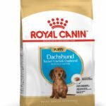 Royal canin dachshund - 1.5 kg - puppy dog food