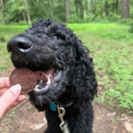 Beef Chips Dog Treats | Single-Ingredient Healthy Treats for Dogs - Image 3