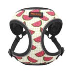 Dog Leash Vest