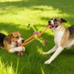 Dog Rope Toy - Image 2