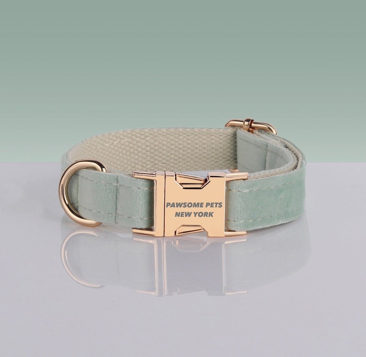 E40BC646-F3F8-41FB-9B8D-D3C615E9DDC3.jpg PAWSOME DOG COLLAR - #30 - Image 1