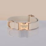 PAWSOME DOG COLLAR - #24