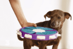 Engaging Dog Learning Toys - Image 5