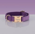 PAWSOME DOG COLLAR - #22
