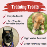 Beef Chips Dog Treats | Single-Ingredient Healthy Treats for Dogs - Image 5
