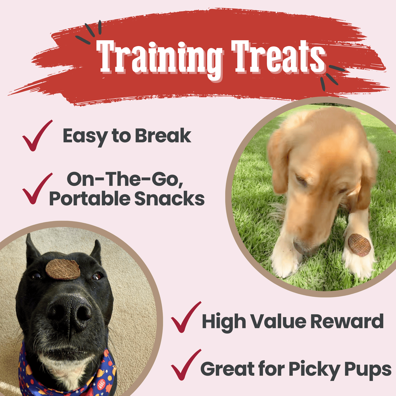 Beef Chips Dog Treats | Single-Ingredient Healthy Treats for Dogs - Image 5