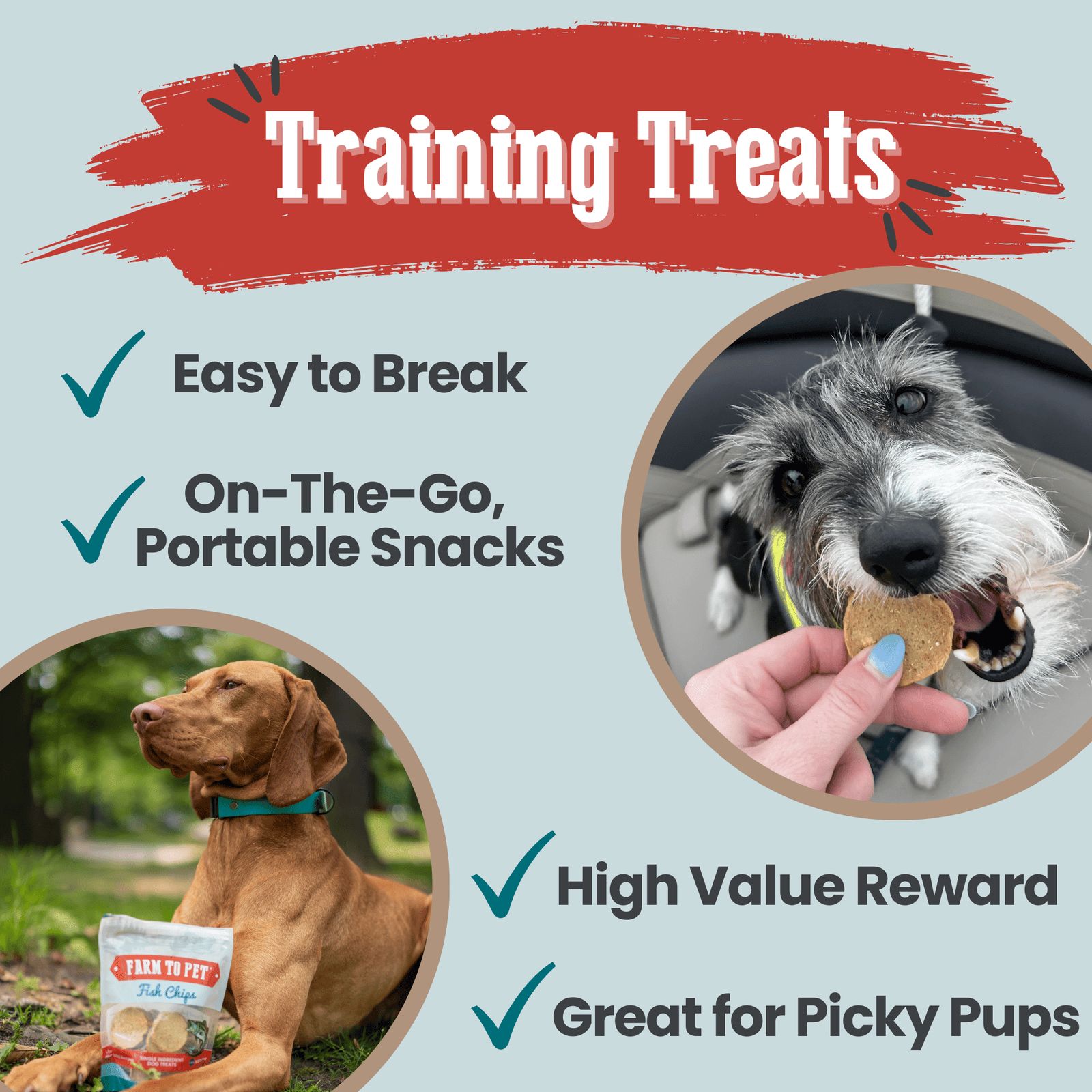 Fish Chips for Dogs | Wild-Caught Fish Dog Treats - Image 5