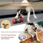 Food Dispensing Dog Toy - Image 5