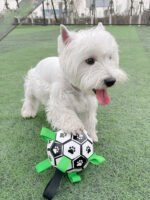 Lovely Paw Football Dog Toy - Image 2
