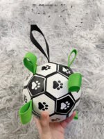 Lovely Paw Football Dog Toy - Image 3