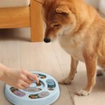 Dog Bowl - Image 2