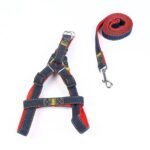 The Hands-Free Dog Leash - Image 14