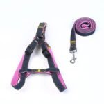 The Hands-Free Dog Leash - Image 16