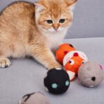 Wool Toys for Cats