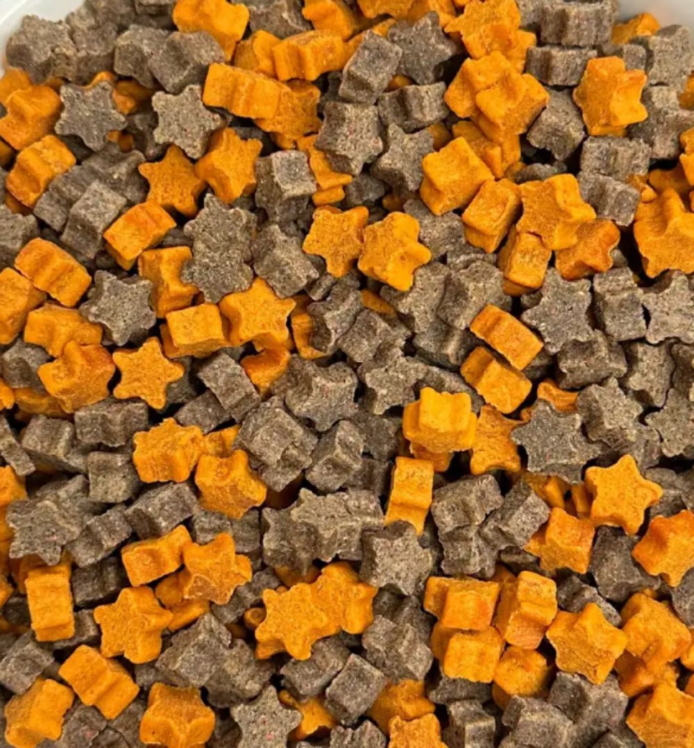 b53c0f9b-5daba1_0ec62cf92a4b4800ae6d732aefd9677c_mv2.jpg Blueberry Pumpkin Soft Dog Treats | Wholesale Bulk Dog Treats | Made in USA - Image 1