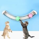 Curved Track Interactive Cat Toy - Image 6