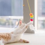 Interactive Swing Cat Toy