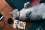 Single Ingredient, High Value Freeze-Dried Training Treats for Dogs & Cats - Beef Liver - Image 3