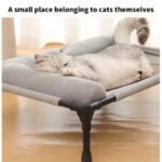 Pet Bed for Small to Medium Pets - Image 2