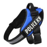 Dog leash - Image 7