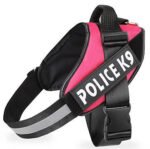 Dog leash - Image 11