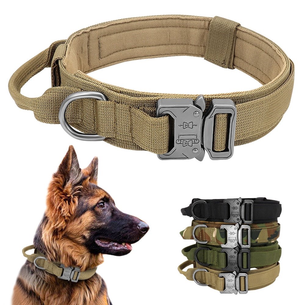 file.jpg Tactical Dog Collar - Image 1